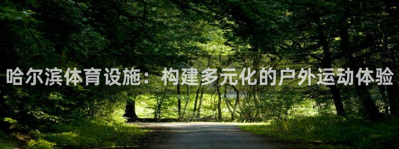 意昂4娱乐40996：哈尔滨体育设施：构建多元化的户
