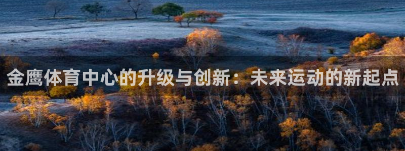 意昂4娱乐平台：金鹰体育中心的升级与创新：未来运动的
