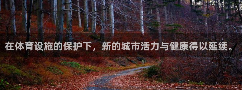 意昂体育4平台是正规平台吗知乎：在体育设施的保护下，