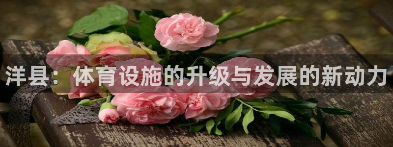 意昂体育4招商电话号码是多少：洋县：体育设施的升级与