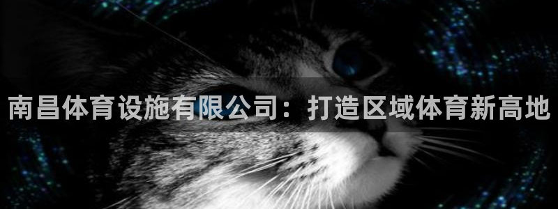 意昂4新能源：南昌体育设施有限公司：打造区域体育新高