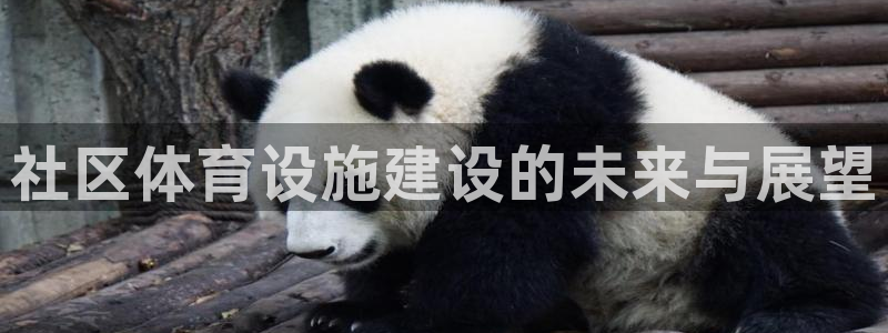 意昂4娱乐首页官网下载