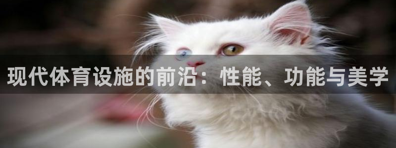 意昂4娱乐首页网站大全