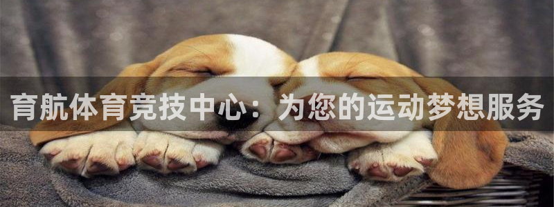 意昂4娱乐代理怎么样