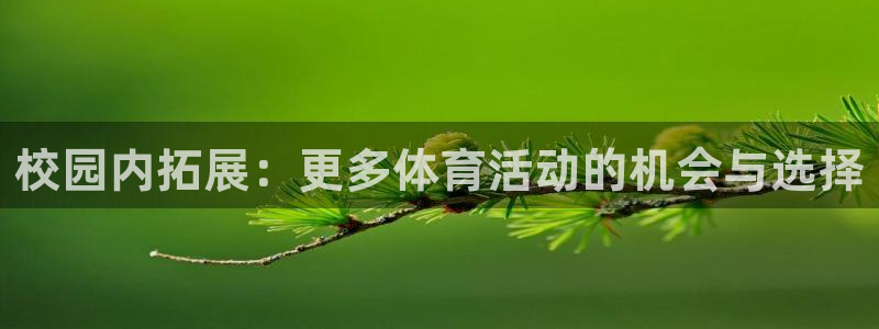 意昂体育4招商：校园内拓展：更多体育活动的机会与选择
