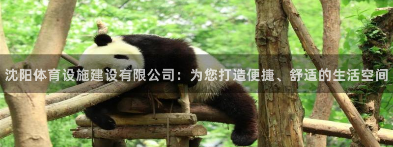 注册意昂4：沈阳体育设施建设有限公司：为您打造便捷、舒适的生