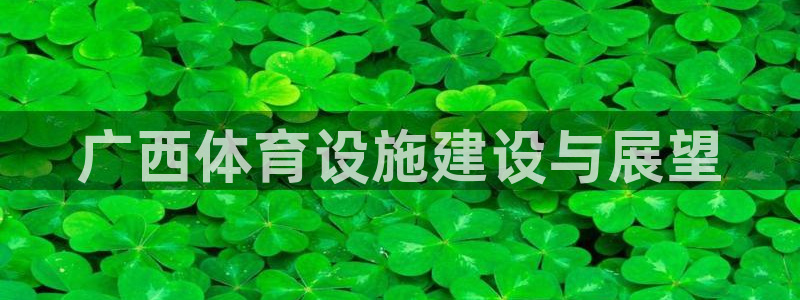 意昂体育4招商电话号码是多少号：广西体育设施建设与展望 