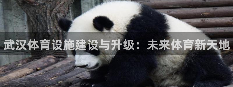 海南意昂体育4：武汉体育设施建设与升级：未来体育新天
