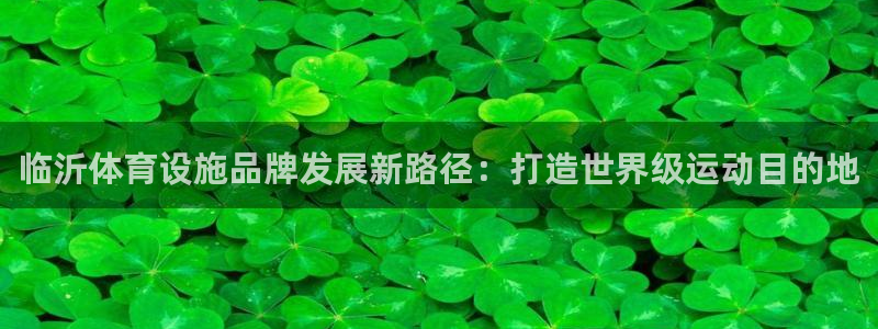 意昂4五金厂：临沂体育设施品牌发展新路径：打造世界级运动目的