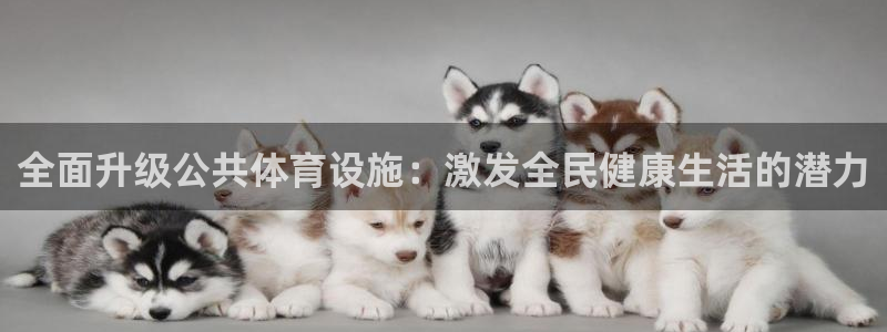 意昂4娱乐首页官网下载：全面升级公共体育设施：激发全民健康生 