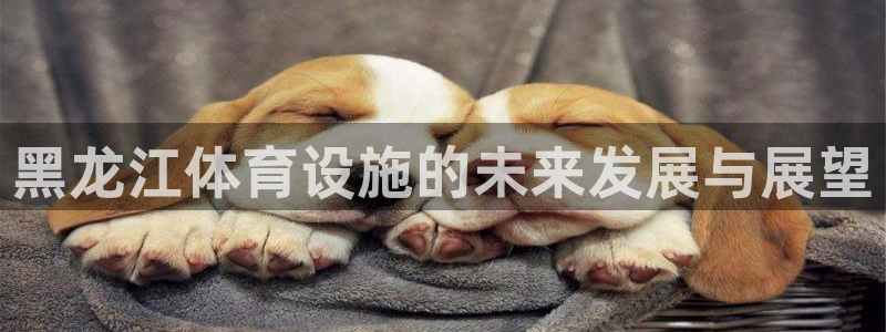 意昂4娱乐平台：黑龙江体育设施的未来发展与展望