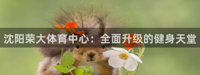 意昂体育4平台假的吗是真的吗：沈阳荣大体育中心：全面升级的健 