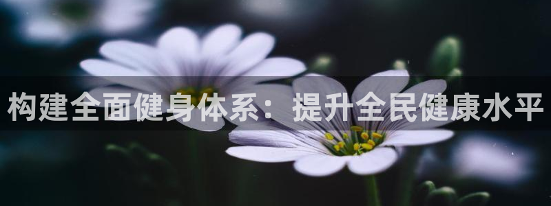 意昂体育4娱乐：构建全面健身体系：提升全民健康水平