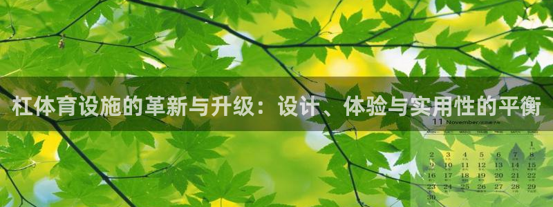 意昂体育4平台：杠体育设施的革新与升级：设计、体验与实用性的