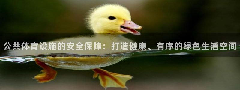 意昂体育4招商电话：公共体育设施的安全保障：打造健康、有序的