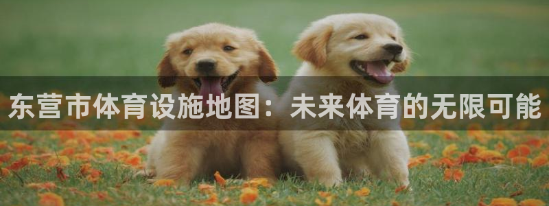 意昂4娱乐是那个系列的台子：东营市体育设施地图：未来体育的无