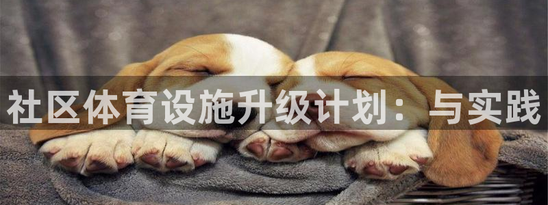 德国意昂4集团：社区体育设施升级计划：与实践