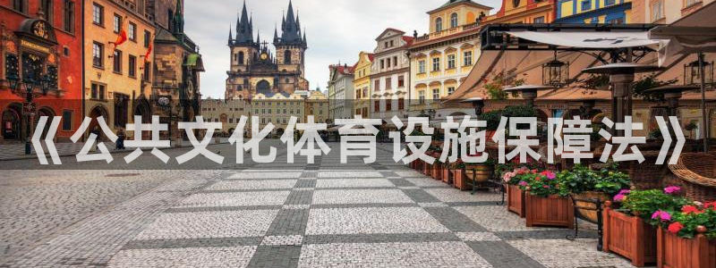 意昂体育4官方客服电话：《公共文化体育设施保障法》 