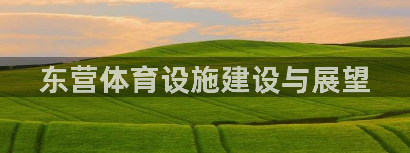 意昂集团官网：东营体育设施建设与展望