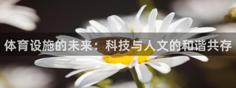 意昂体育4平台