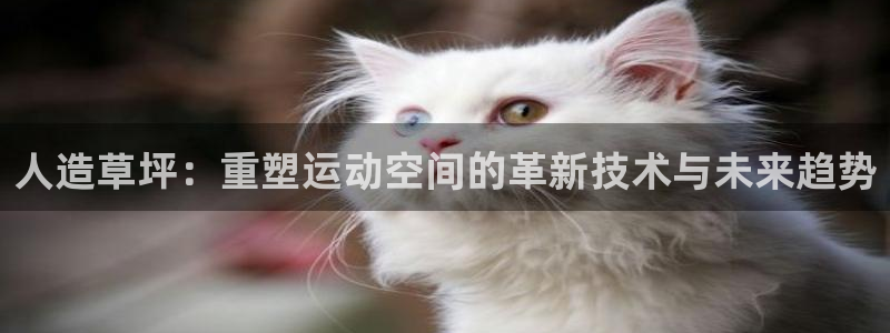 意昂体育4平台注册要钱吗是真的吗：人造草坪：重塑运动空间的革