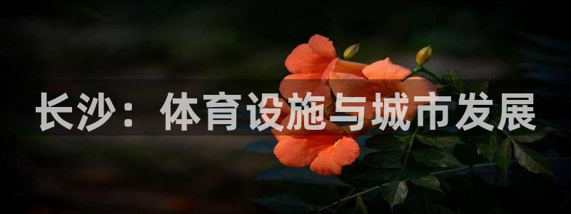 意昂体育4招商电话号码是多少