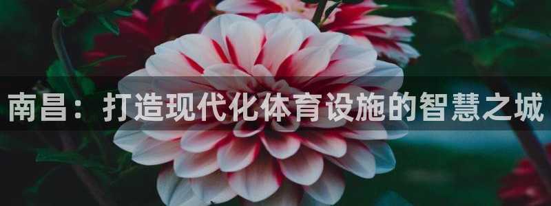 意昂体育4平台注册流程视频
