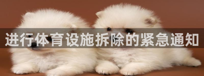 意昂体育4开户