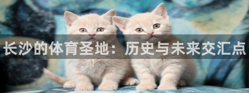意昂平台体育