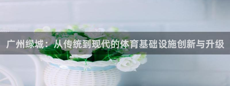 意昂体育4招商
