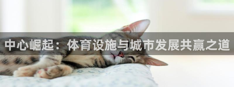 意昂4娱乐：中心崛起：体育设施与城市发展共赢之道