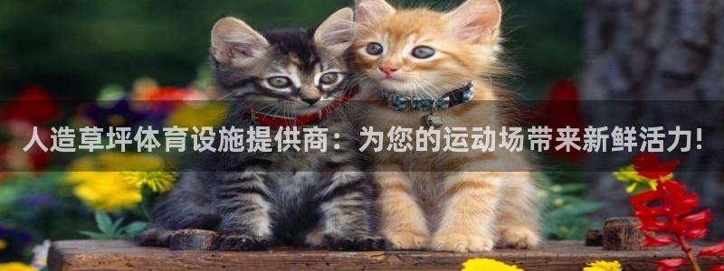 意昂体育4娱乐：人造草坪体育设施提供商：为您的运动场