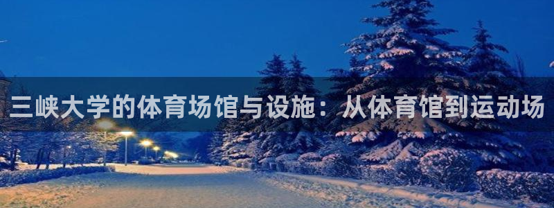 意昂4娱乐首页网站大全：三峡大学的体育场馆与设施：从体育馆到