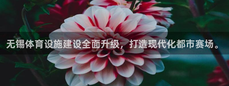 意昂4娱乐40996